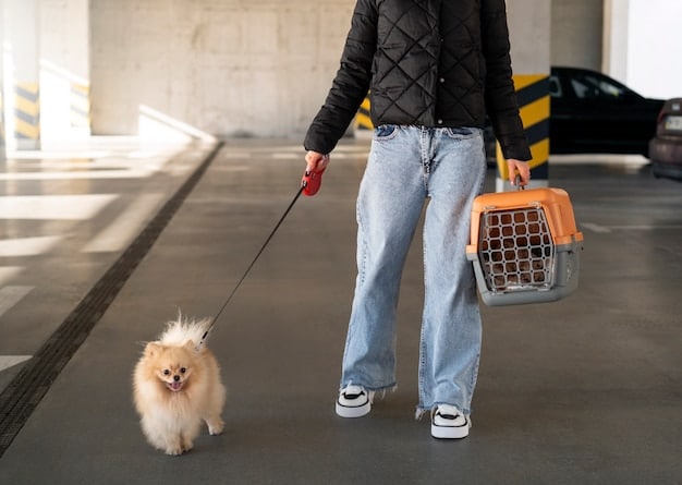 A TSA canine team patrolling an airport terminal, with the dog sniffing luggage and passengers walking by.