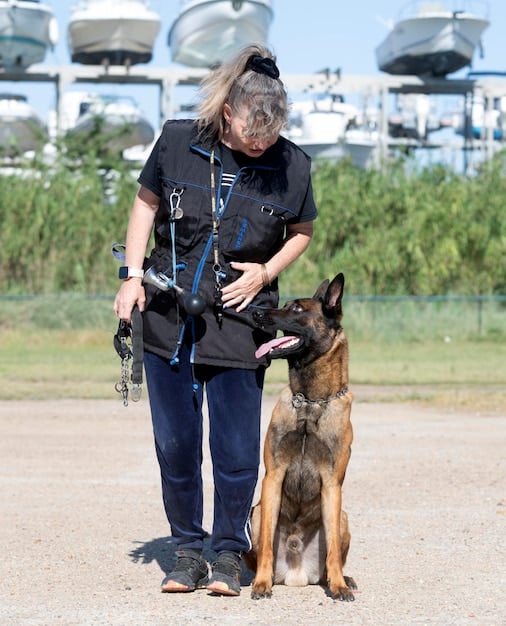 A wide shot showing a TSA officer and a trained canine working together in an airport terminal. The canine is actively sniffing luggage and passengers, while the officer observes closely. The background includes a busy airport environment with people walking by, emphasizing the active and integrated role of the canine unit in maintaining security.