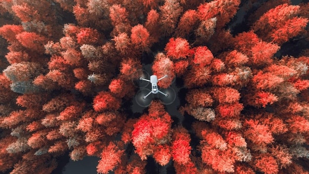 UAS Regulations Update: Key Changes You Need to Know in 2024