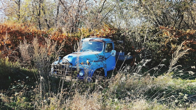 A wide-angle shot of a vintage car parked on a rustic road in the countryside during sunset. The warm golden light bathes the car and the landscape, creating a nostalgic and serene atmosphere. The composition emphasizes the car as a focal point, with the road leading the viewer's eye into the scene.