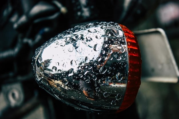 Car Detailing: Get a Showroom Shine & Protect Your Car