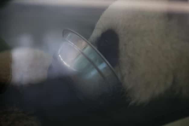 A close-up shot of a car's perfectly polished and waxed surface, showcasing a deep, reflective shine under sunlight.