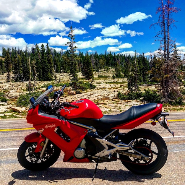 Used Suzuki SV650 (2018-2020): A Complete Buyer’s Guide