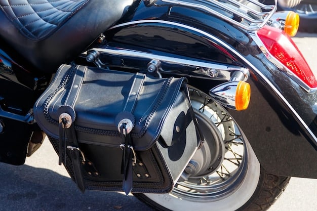 A clear shot of the 2025 Harley-Davidson Street Glide's saddlebags, showing their size and how they integrate into the bike's overall design. The bags should appear spacious and easy to access.