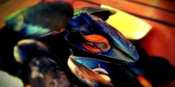 2025 Triumph Speed Triple 1200 RS: Performance & Features Review - Cover Image