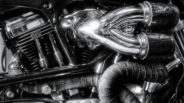 A close-up shot of the Indian Chief Dark Horse's blacked-out Thunderstroke 116 engine, highlighting the intricate details and the chrome pushrod tubes.