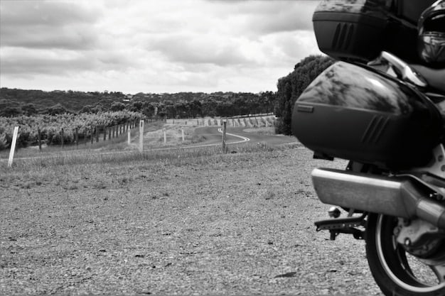 2024 BMW G 310 GS Review: Perfect Entry-Level Adventure Bike?