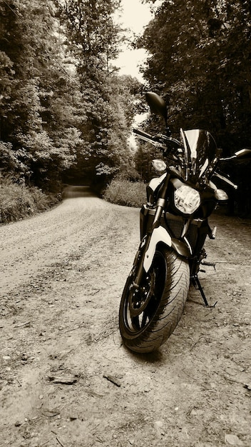 2024 BMW G 310 GS Review: Perfect Entry-Level Adventure Bike?