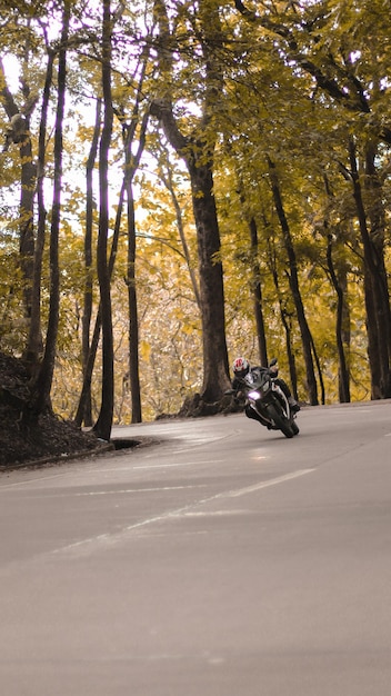2024 Kawasaki Ninja 400 Review: Is It The Best Beginner Sportbike?